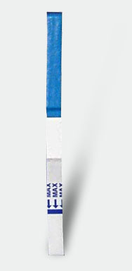 Puikkomallinen raskaustesti