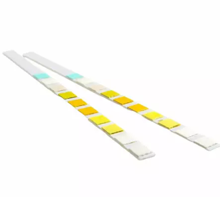 Virtsatietulehdustesti - Terveystestit - 00162 - 2