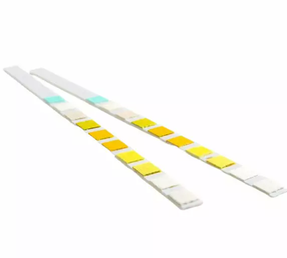 Virtsatietulehdustesti - Terveystestit - 00162 - 2