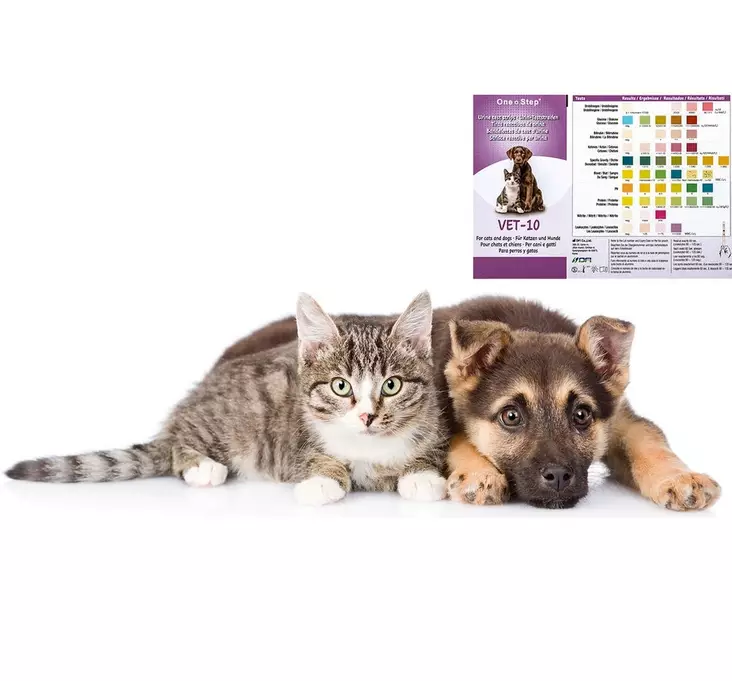 10 parametrin virtsatesti eläimille - Kotitestit eläimille - 00485 - 1